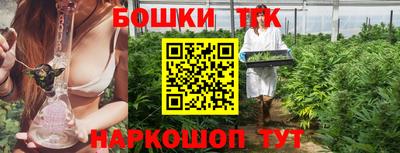 крисы Новодвинск