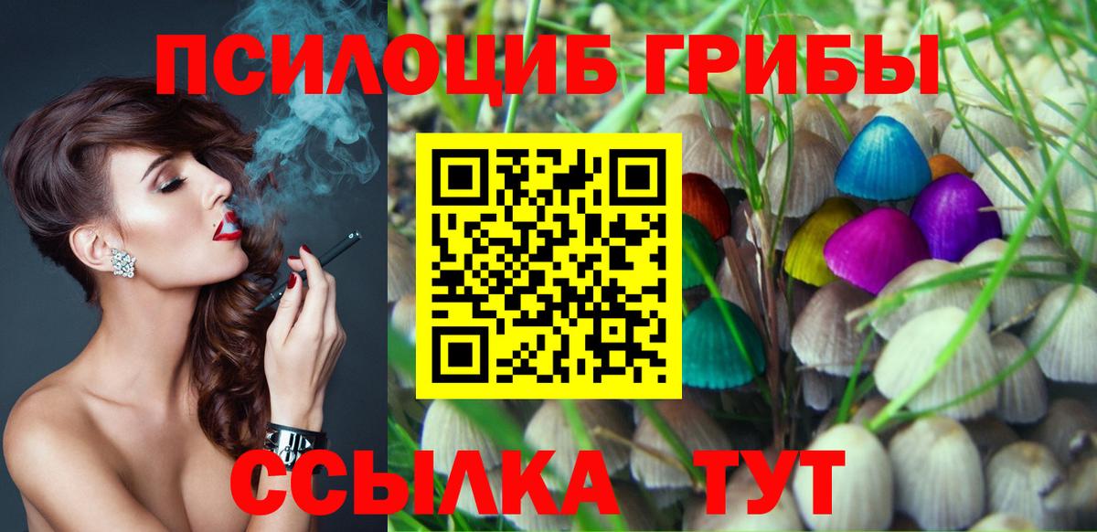 Псилоцибиновые грибы Cubensis  Псилоцибиновые грибы мухоморы  Чернушка  Вход с VPN 